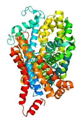 GABA
